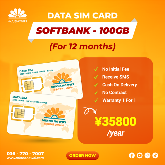 Data Sim For 12 Months: Softbank - 100GB